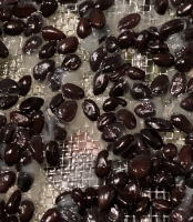 Stauntonia hexaphylla