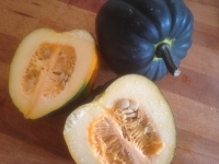 Cucurbita pepo Table Queen